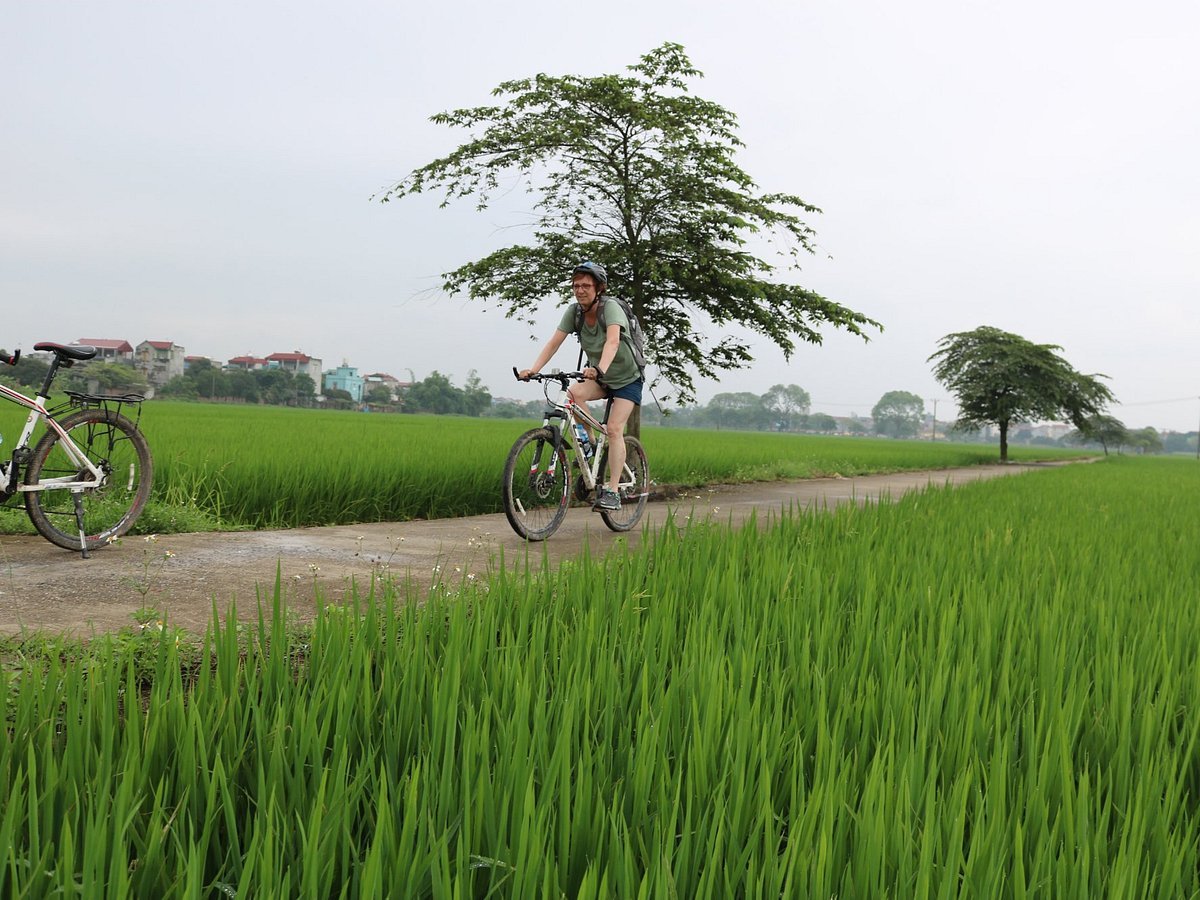 Hanoi Countryside Cycle Trip 1 Day Song Phuong Village